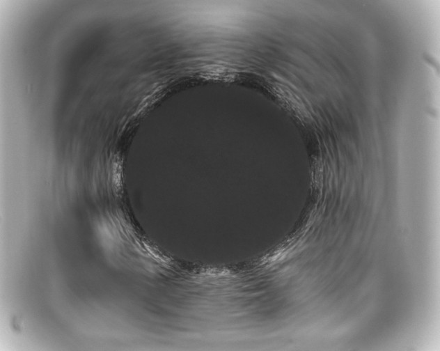 X0000099381154200805081439