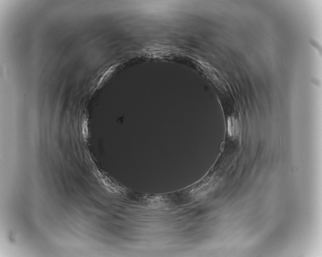 X0000099381155200805081439