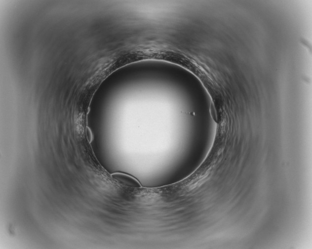 X0000099381156200805081439