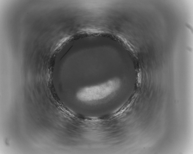 X0000099381157200805081439