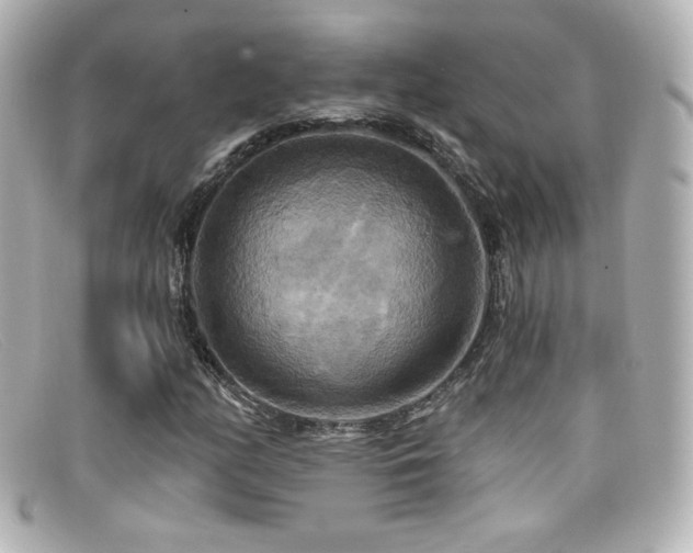 X0000099381158200805081439