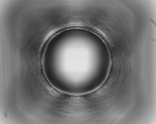 X0000099381168200805081439