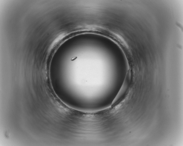 X0000099381172200805081439