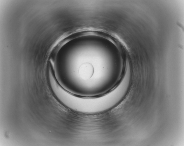 X0000099381173200805081439