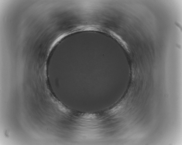 X0000099381174200805081439
