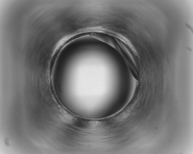 X0000099381176200805081439