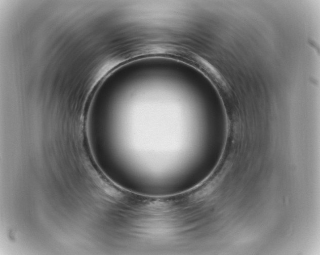 X0000099381178200805081439