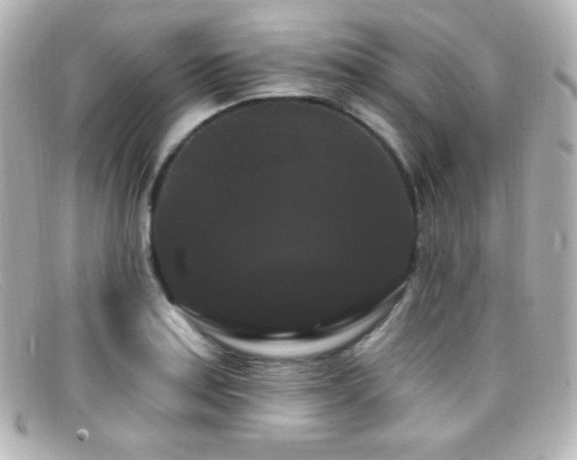 X0000099381179200805081439
