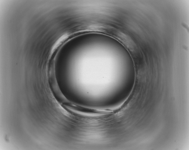 X0000099381180200805081439