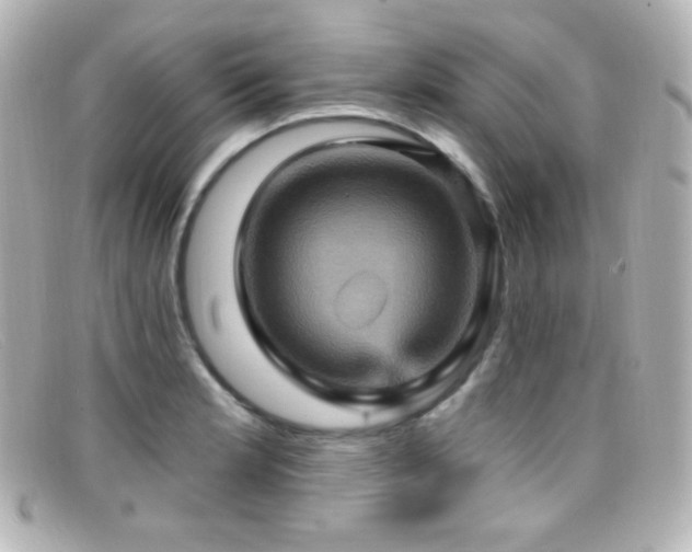 X0000099381181200805081439