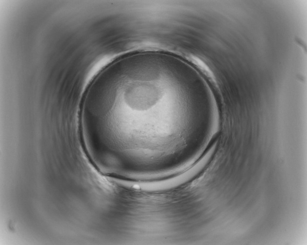 X0000099381183200805081439