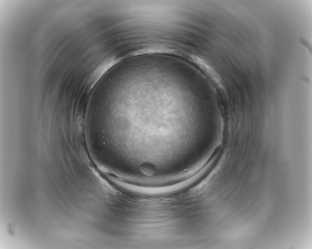 X0000099381185200805081439