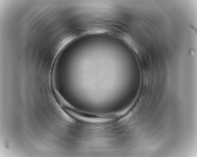 X0000099381186200805081439