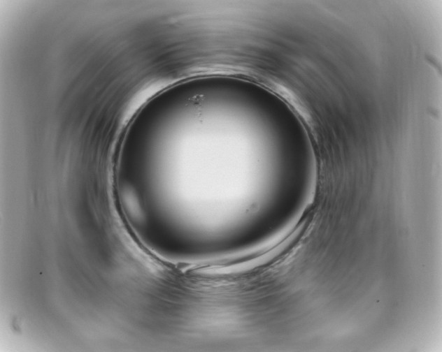 X0000099381187200805081439