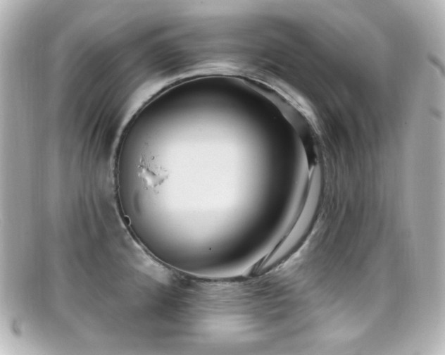 X0000099381192200805081439