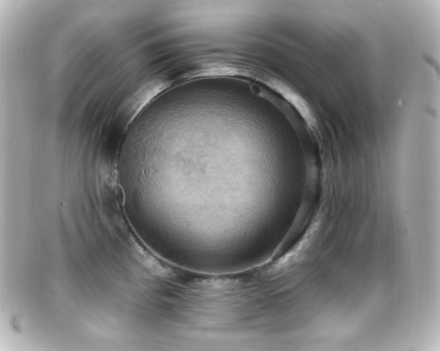 X0000099381193200805081439