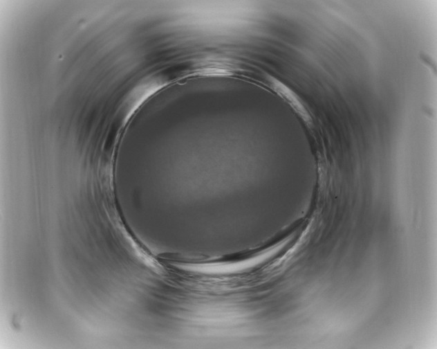 X0000099381194200805081439