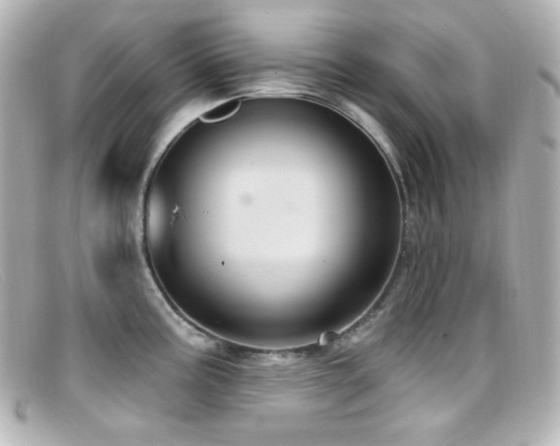 X0000099381195200805081439