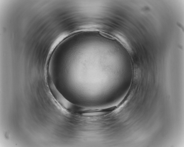 X0000099381196200805081439