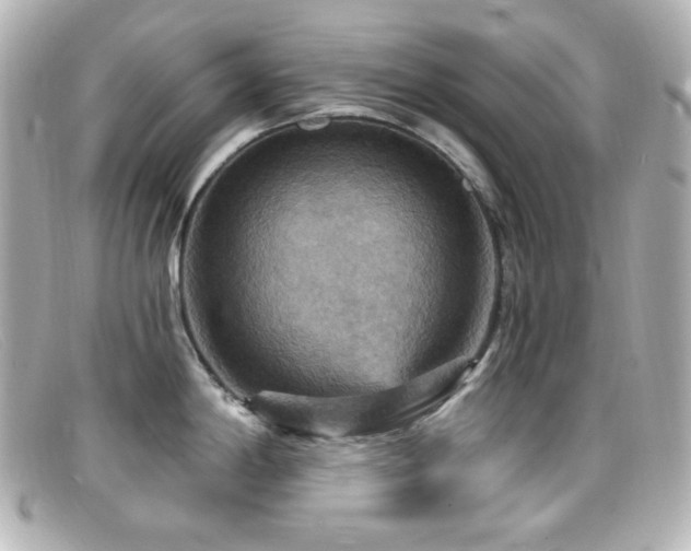 X0000099381198200805081439