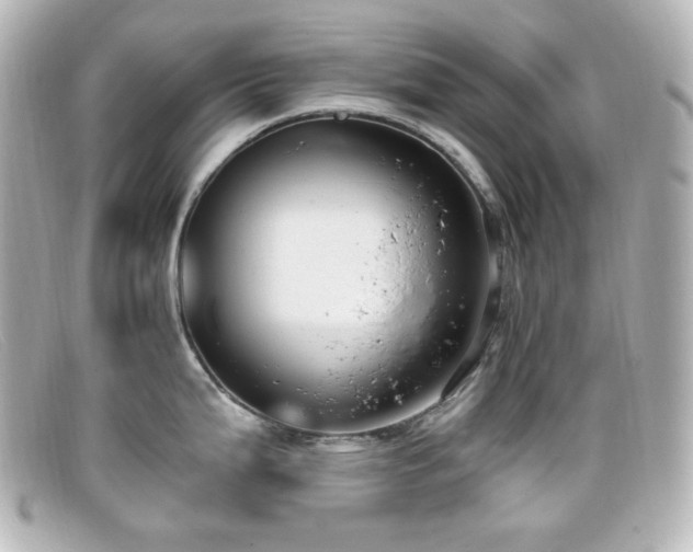 X0000099381199200805081439
