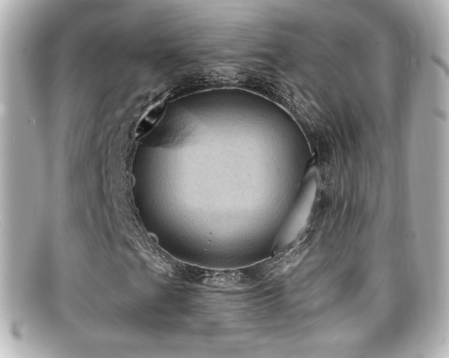 X0000099381201200805081438