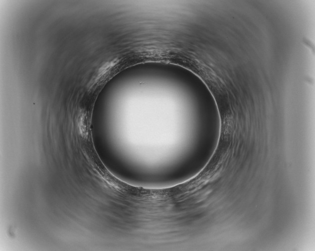 X0000099381202200805081438