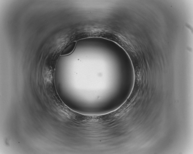 X0000099381204200805081438