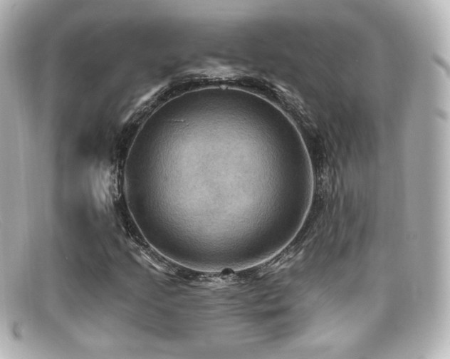 X0000099381205200805081438
