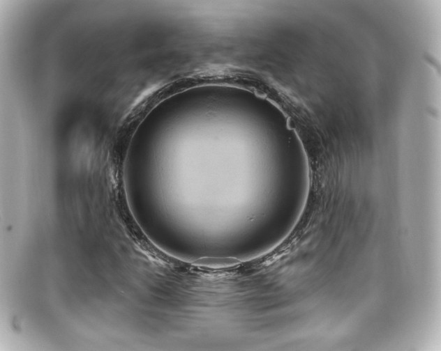 X0000099381206200805081438