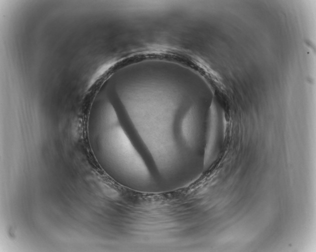 X0000099381208200805081438