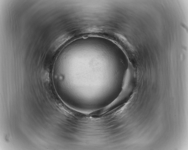 X0000099381209200805081438