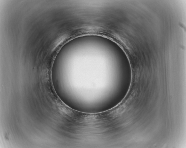 X0000099381211200805081438
