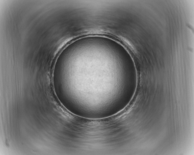 X0000099381212200805081438