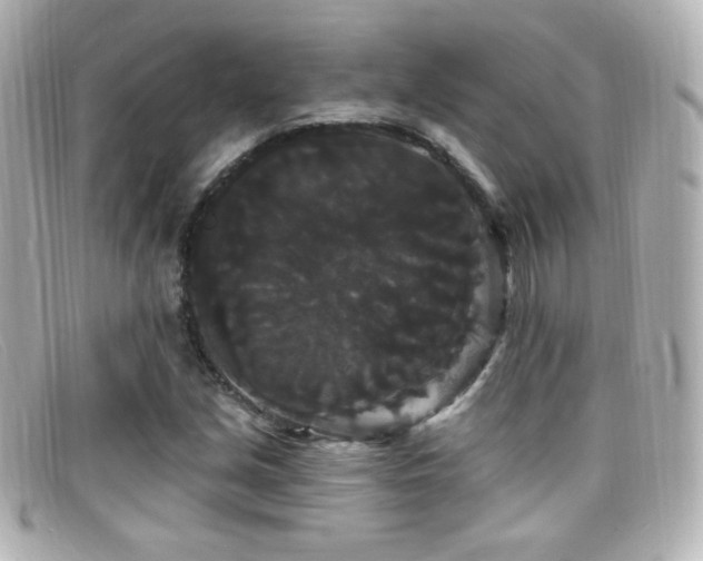 X0000099381213200805081438