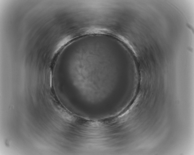 X0000099381219200805081438