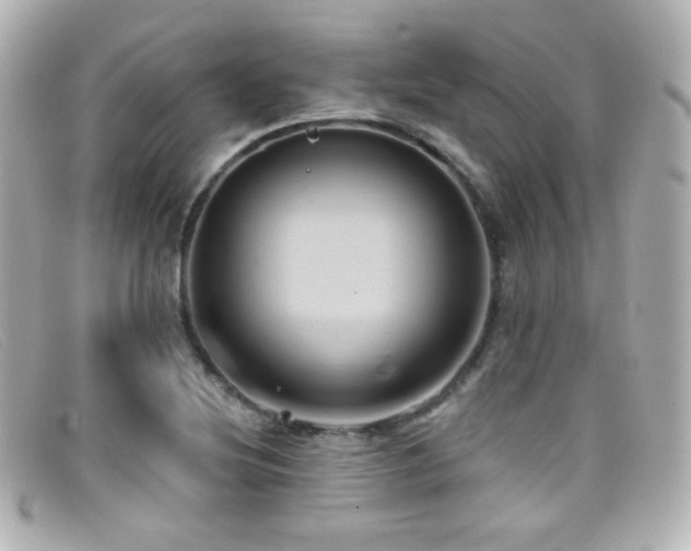 X0000099381220200805081438
