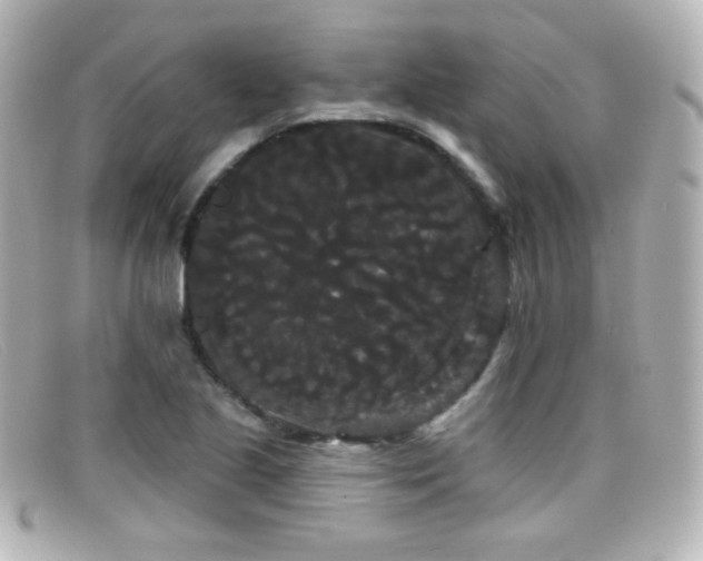 X0000099381221200805081438