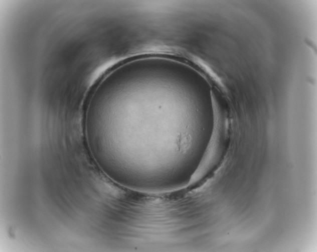 X0000099381222200805081438
