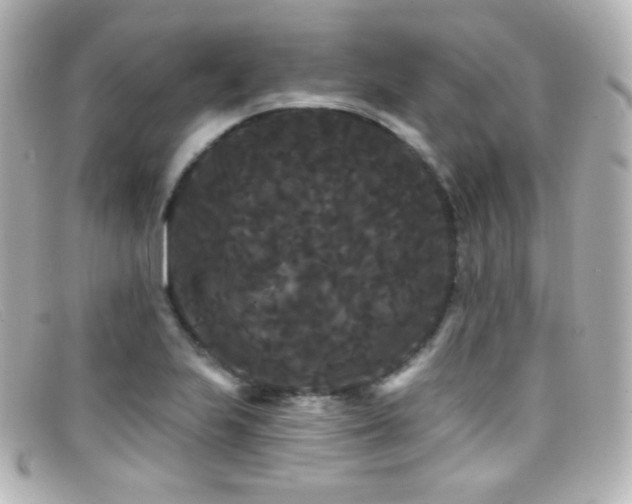 X0000099381223200805081438