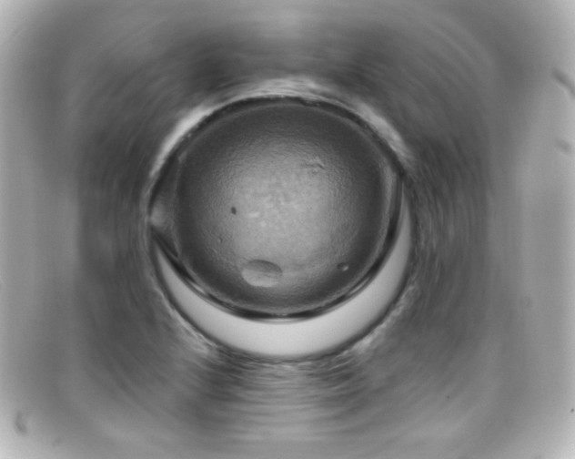 X0000099381224200805081438