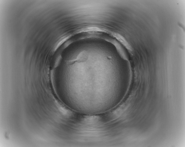 X0000099381225200805081438