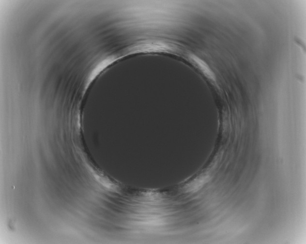 X0000099381226200805081438