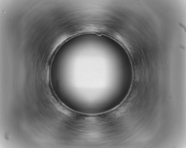 X0000099381227200805081438