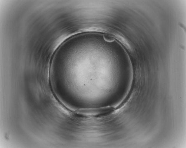 X0000099381228200805081438