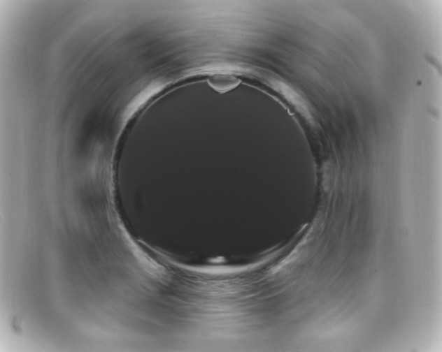 X0000099381229200805081438