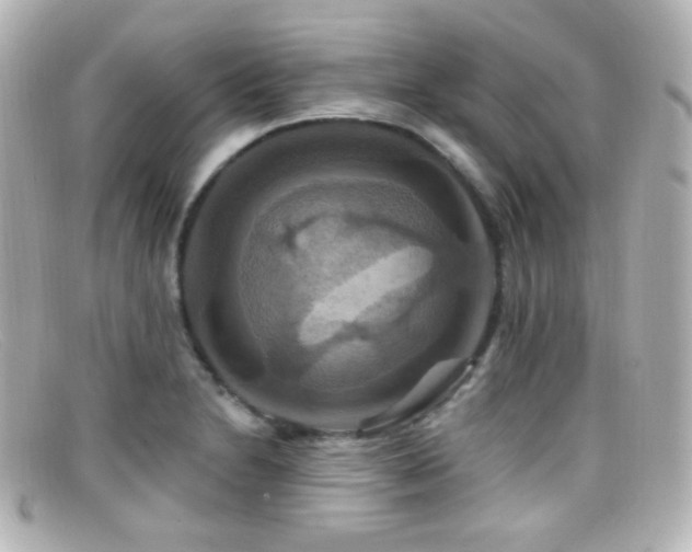 X0000099381230200805081438