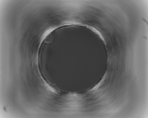 X0000099381231200805081438