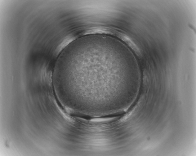 X0000099381233200805081438