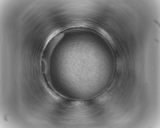 X0000099381234200805081438